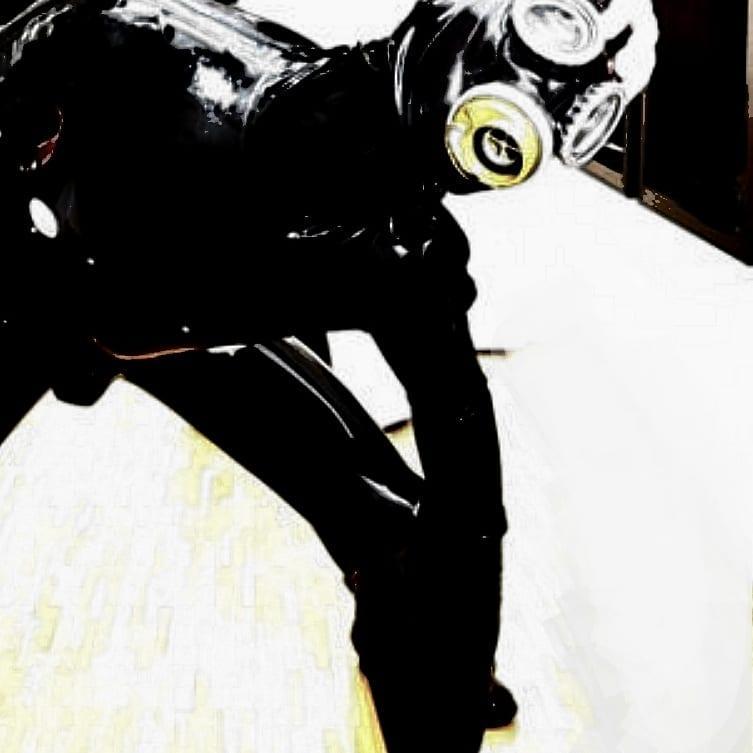 GearPup2305's Profile