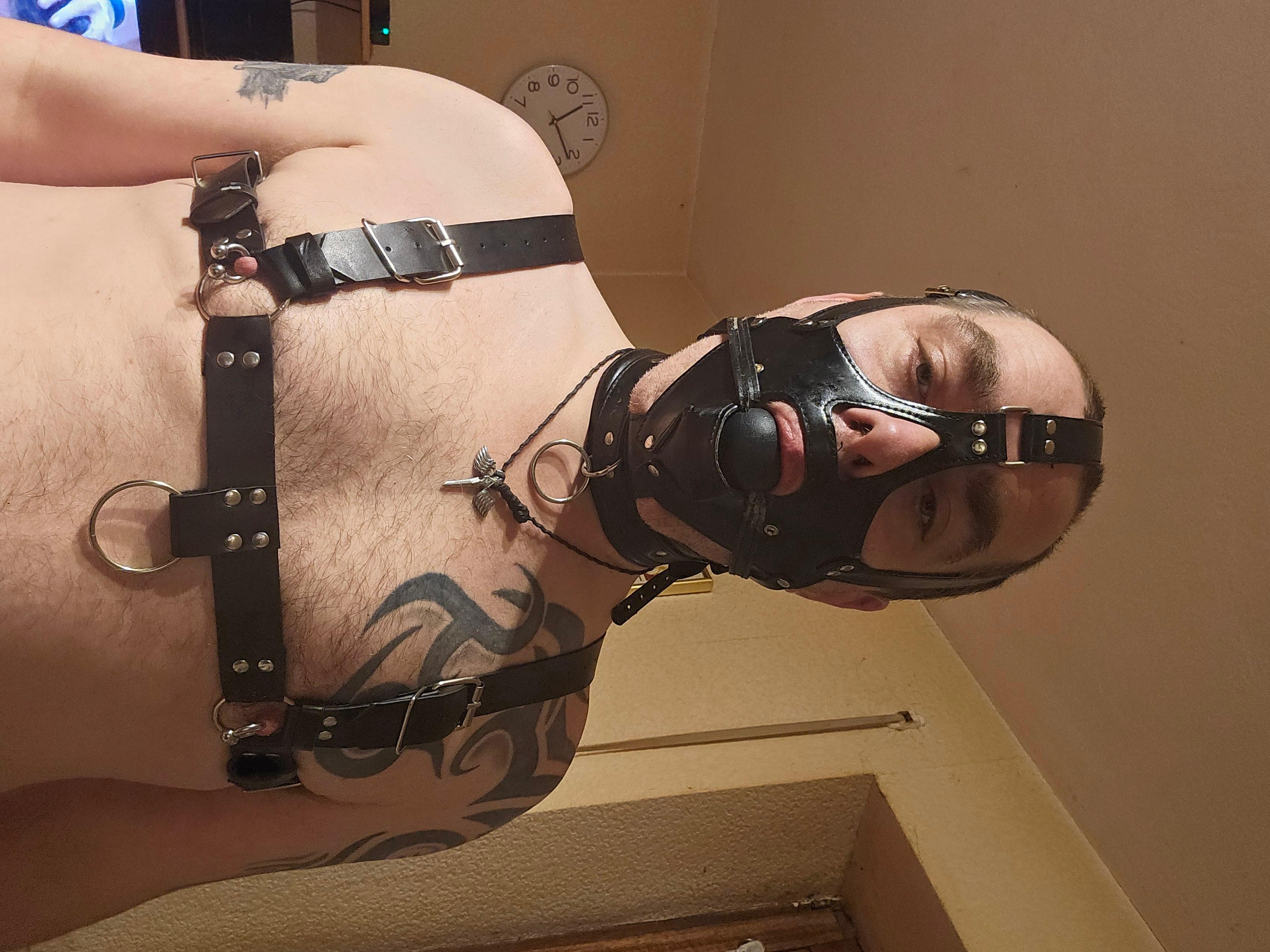 Locked_slave44's Profile