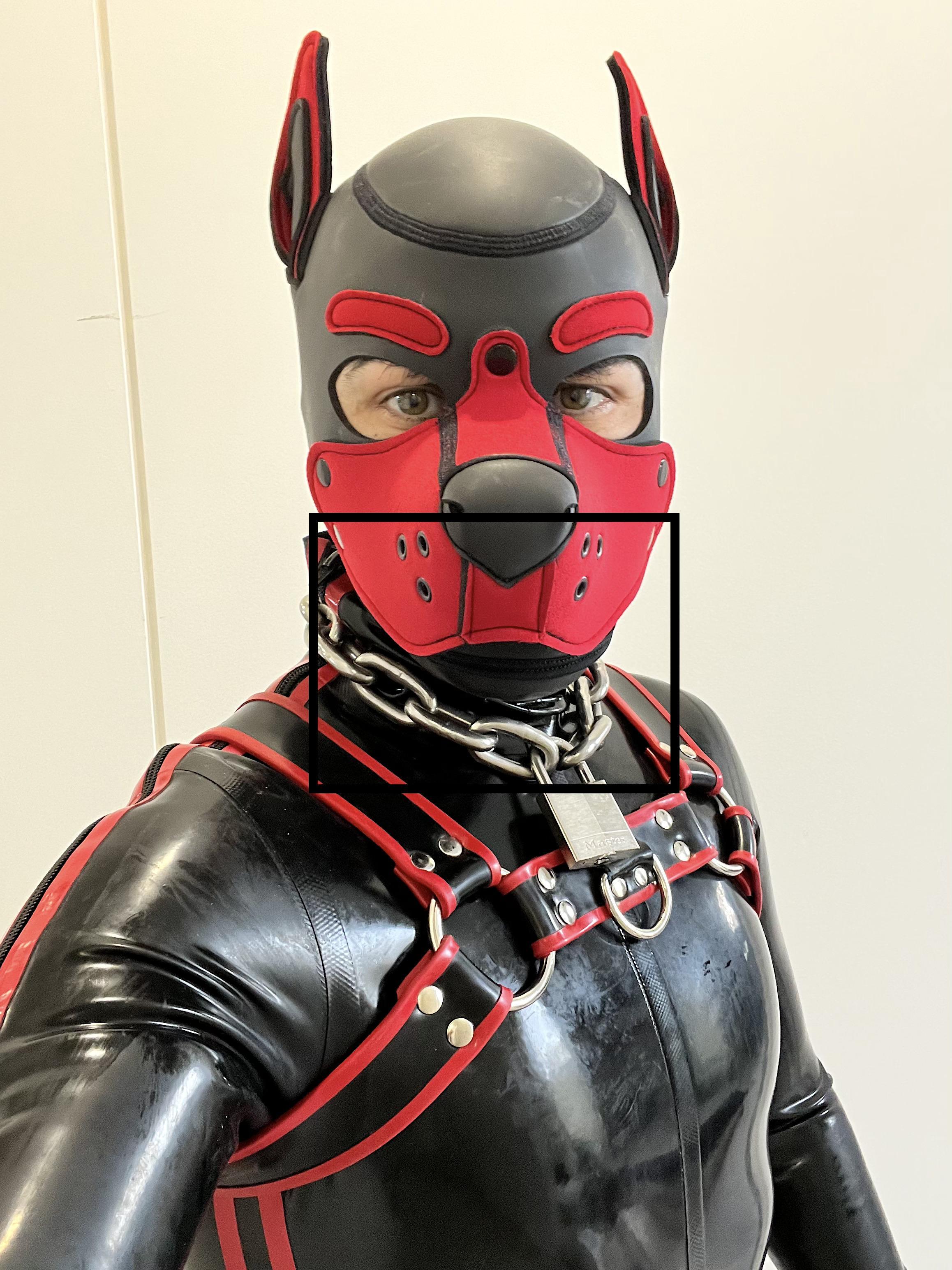 RubberSheath's Profile