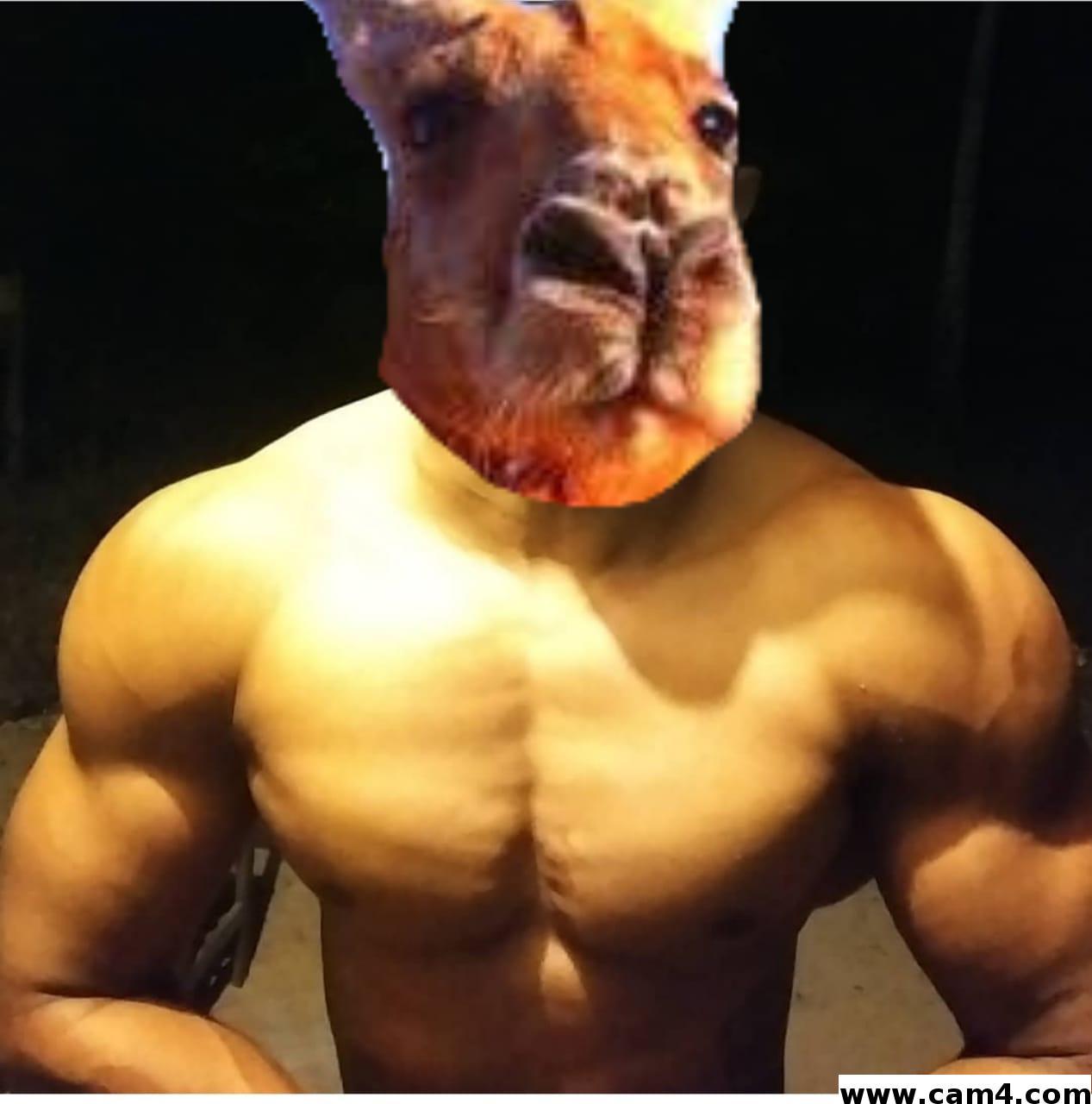 Safadinsanto's Profile