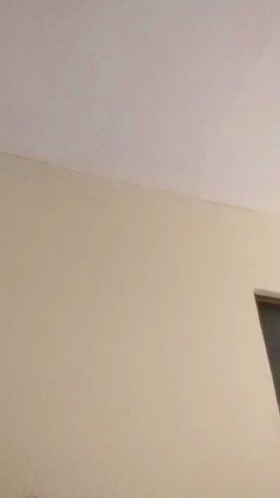 XoCinderella's Profile