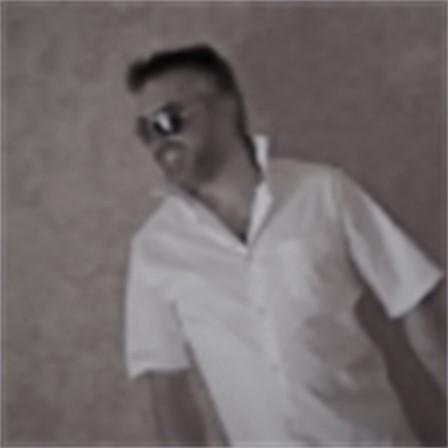 didal12 Profile Image