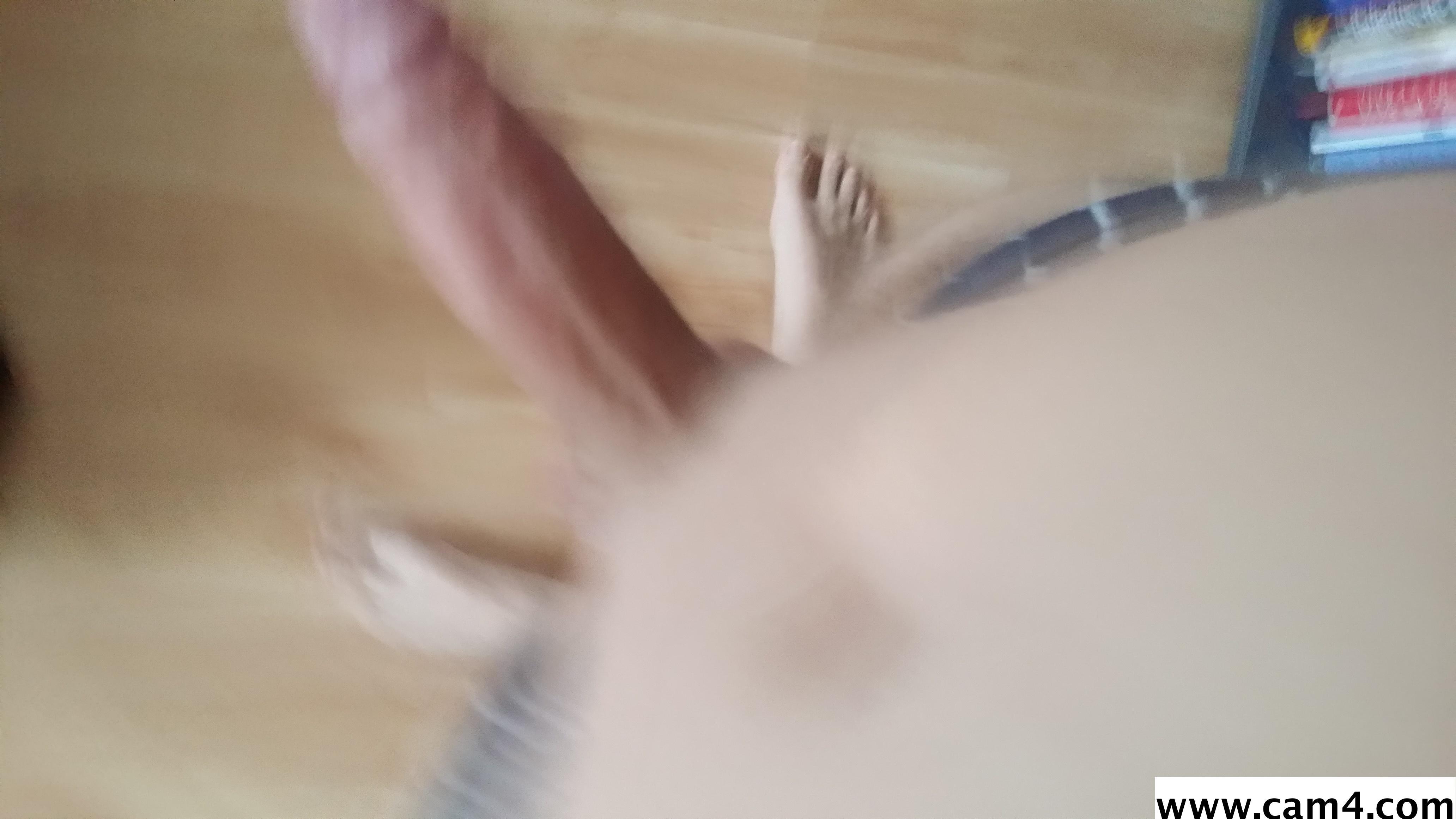 doggiholger Profile Image