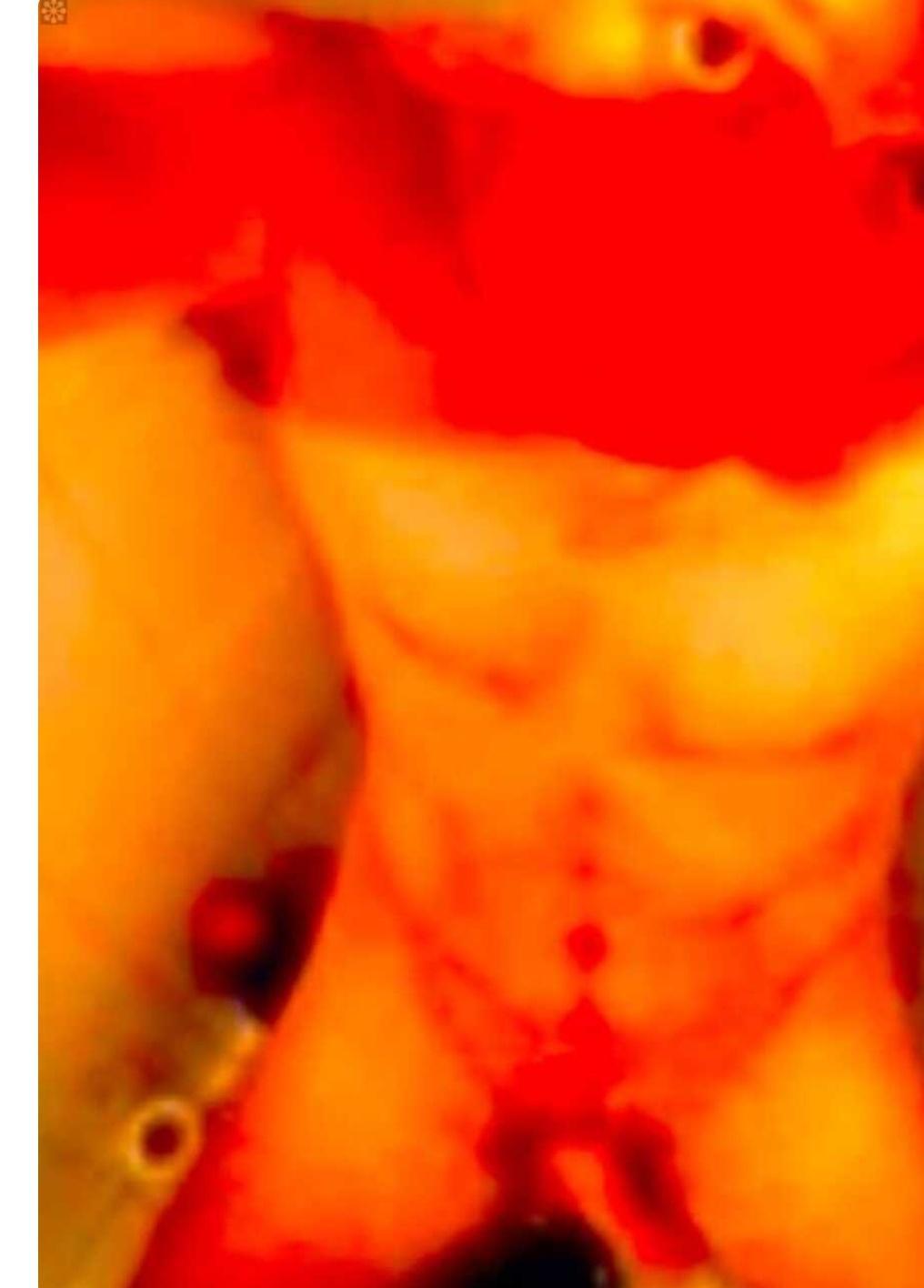 flotbi35's Profile