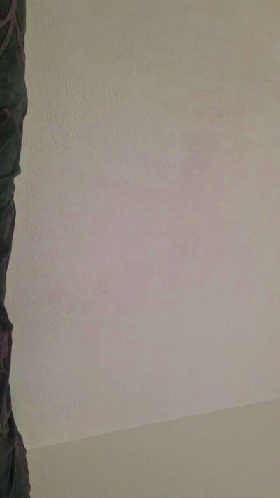 lolanino2's Profile