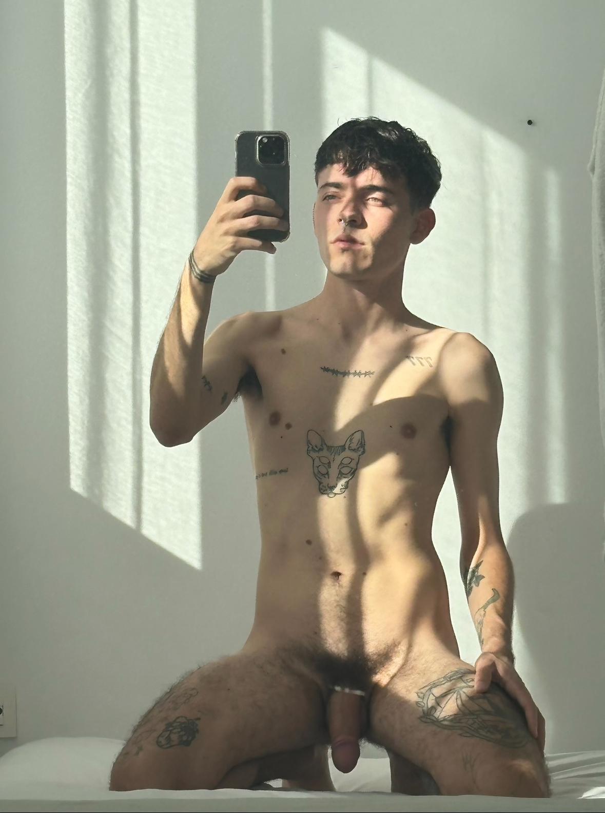 renatox77's Profile