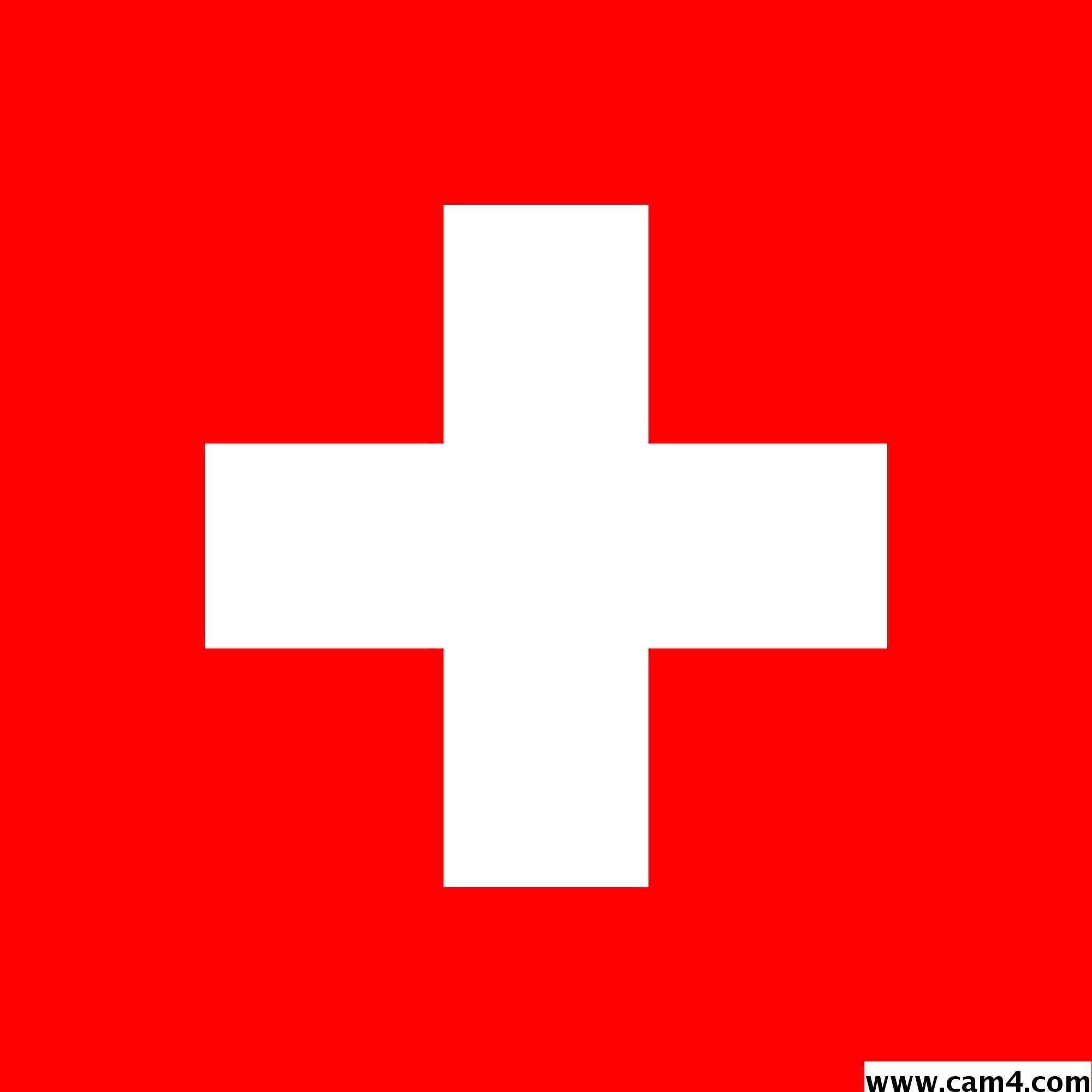 swissstifler Profile Image